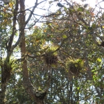 Study Abroad Spring 2007